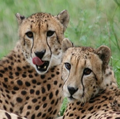 ホテル サンシャイン青山 姫路セントラルパークチケット付 宿泊プラン 朝食付 楽天トラベル ホテル サンシャイン青山 姫路セントラルパークチケット付 宿泊プラン 朝食付 楽天トラベル